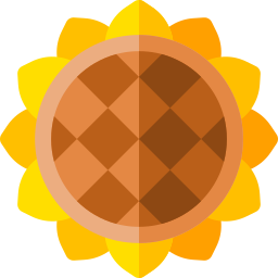 Sunflower icon