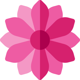 Gerbera icon