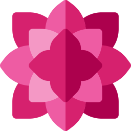 Poinsettia icon