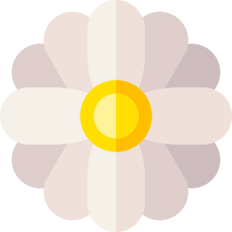 Chamomile icon