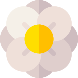 Freesia icon