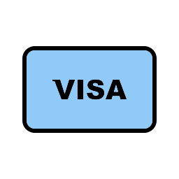 visa icon