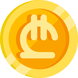 Lari icon