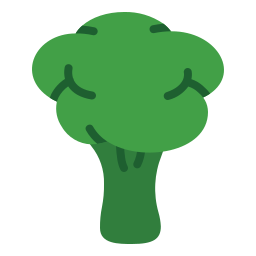 Broccoli icon