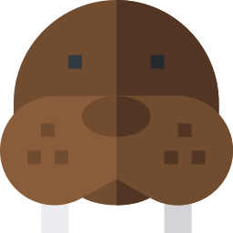 Walrus icon