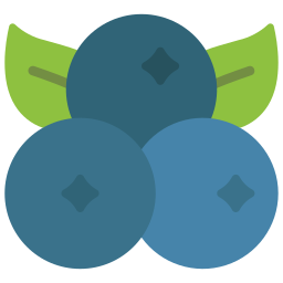 Fruit icon