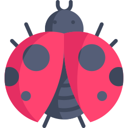 coccinelle Icône