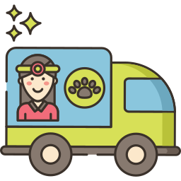 Ambulance icon