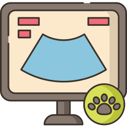 Ultrasound icon