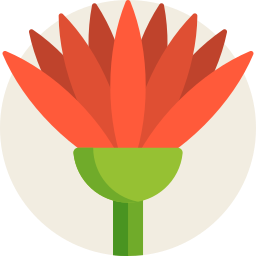 lotus icon