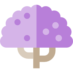 Jacaranda icon