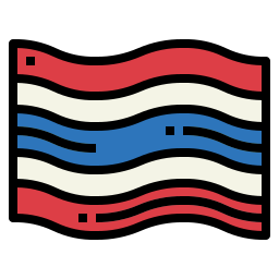 flagge icon