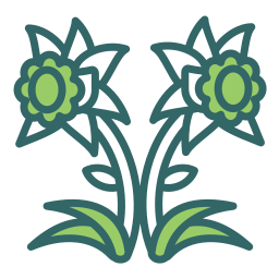 Daffodil icon