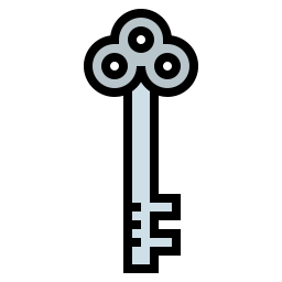 Key icon