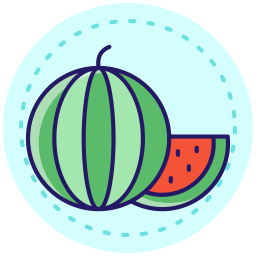 wassermelone icon