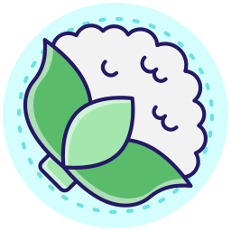 blumenkohl icon