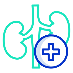 Kidney icon