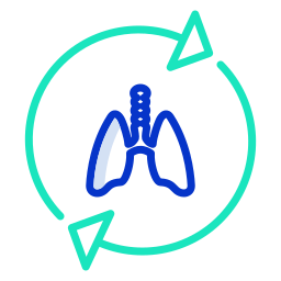 Lungs icon