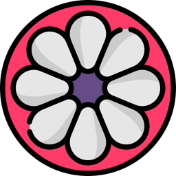 mangostan icon