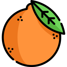 Orange icon