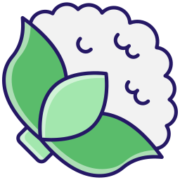 blumenkohl icon