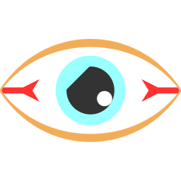 vision icon