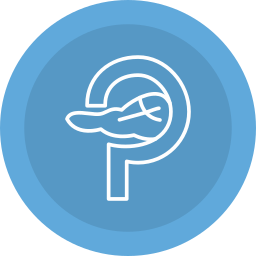 pankreas icon