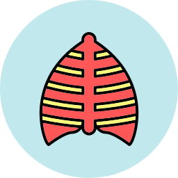 Ribs icon