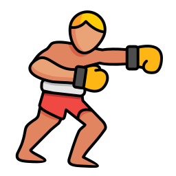 boxe Icône