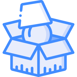 Packing icon