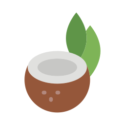 Coconut icon