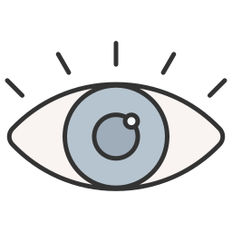 vision icon