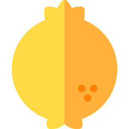 Fruit icon