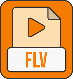 Flv file format icon