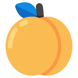 Fruit icon