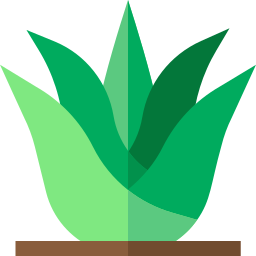 aloe vera icon