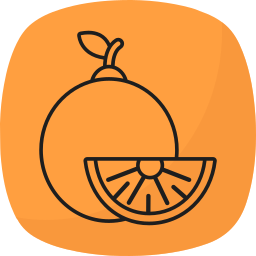 Orange icon