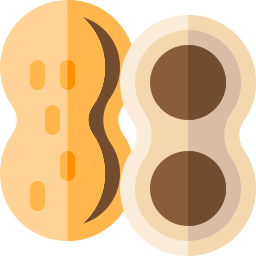 Peanut icon