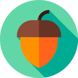 Hazelnut icon