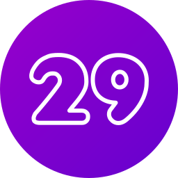 29 Ícone