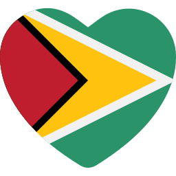 guyana icon