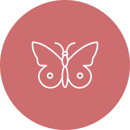 Butterfly icon