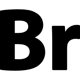 adobe bridge icon