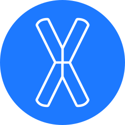 Letter x icon