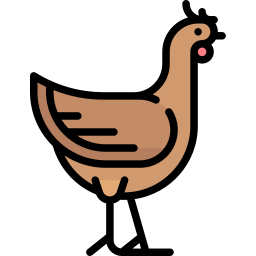 Chicken icon