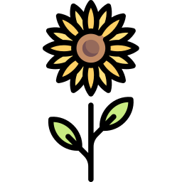 Sunflower icon