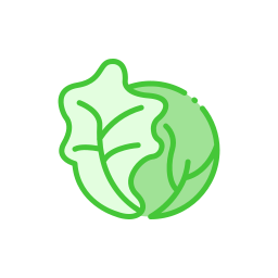 Vegetable icon