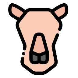 Camel icon