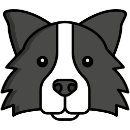 Border collie icon