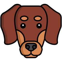 dachshund Ícone